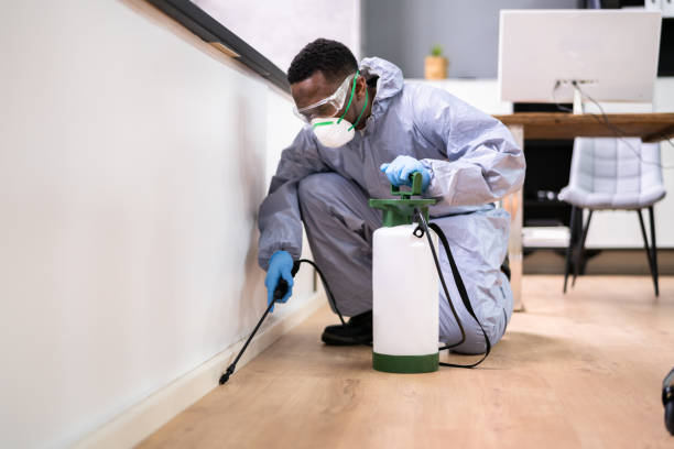 Best Pest Prevention Services  in Valley Falls, RI